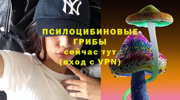 хмурый Елабуга