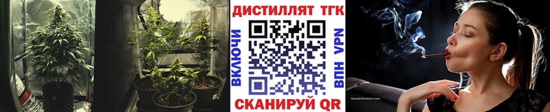 ТГК гашишное масло блэк спрут зеркало Кадников