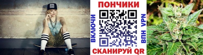 где можно купить наркотик  Кадников  Бошки Шишки SATIVA & INDICA 